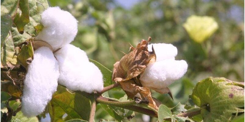 ¡Vuelos Baratos De Mexico A Lima Peru!