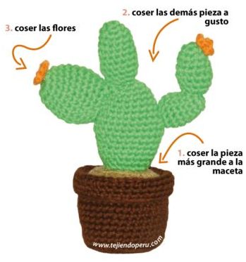 Cactus Nopal Tejiendo Perú: ¡Impresionante!