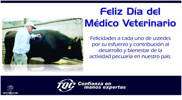 ¡Celebremos el Día del Veterinario en Perú!