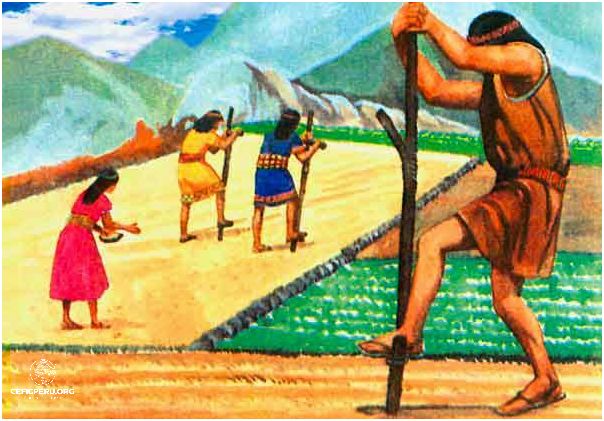 ¿Cómo era la Agricultura en el Virreinato del Perú?