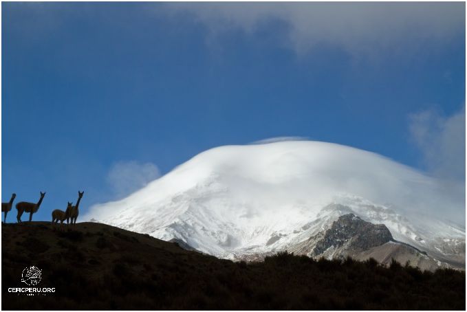 ¿Cómo Llamar A Bolivia Desde Perú?