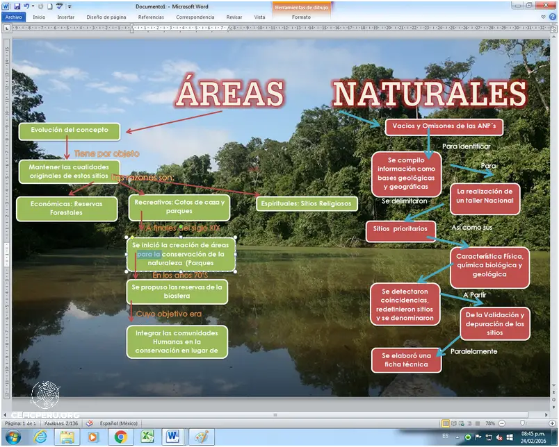¡Descubre el Mapa Conceptual de las Areas Naturales Protegidas Del Peru!