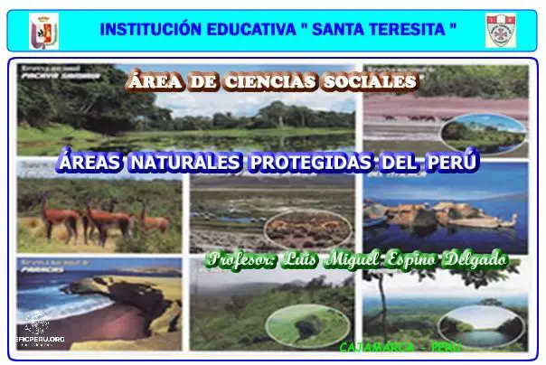 ¡Descubre el Mapa Conceptual de las Areas Naturales Protegidas Del Peru!