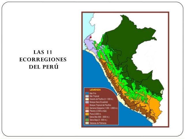 Descubre el Mapa De Las Ecorregiones Del Peru!