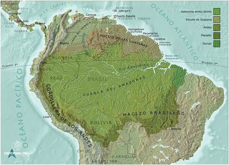 Descubre el Mapa Del Peru Region Selva!