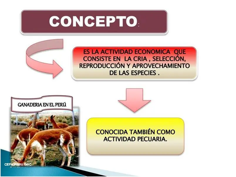 Descubre las Actividades Económicas Primarias Del Perú