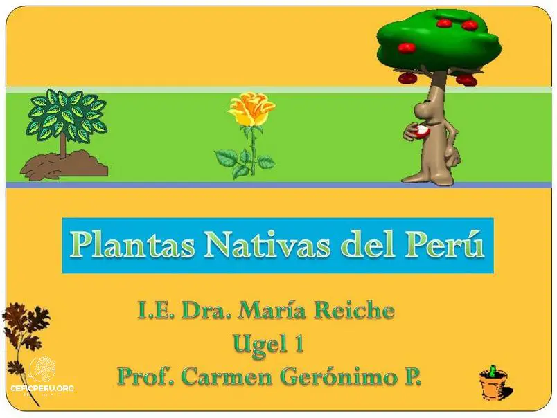 ¡Descubre las Plantas Nativas Y Foráneas Del Peru!