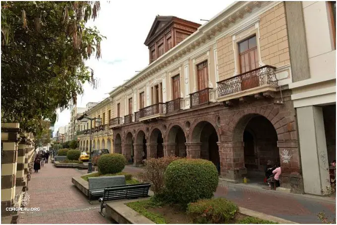 ¡Descubre las Plantas Nativas Y Foráneas Del Peru!