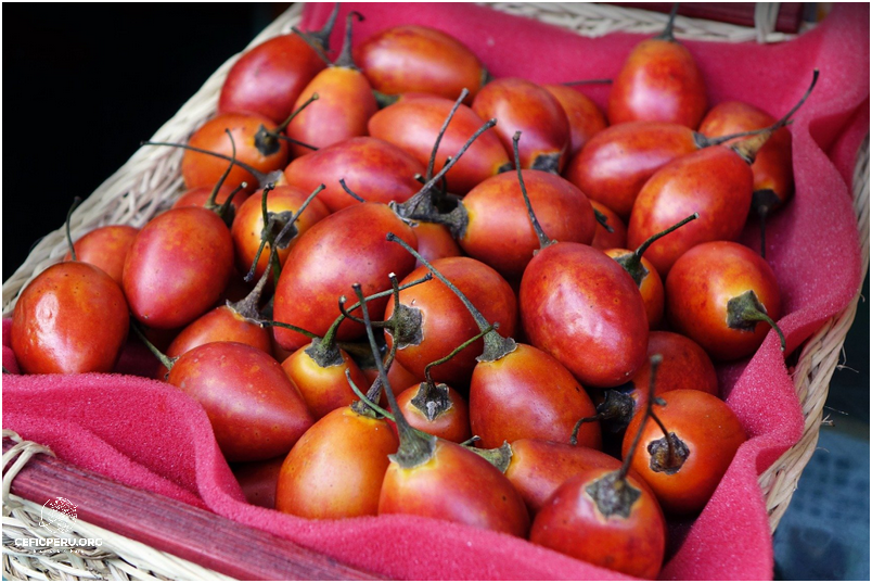 ¡Descubre los Beneficios del Tomate De Arbol Peru!