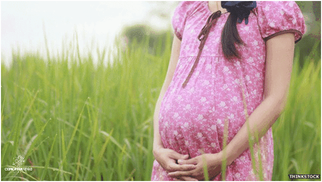 Niña Violada en Perú: La Trágica Historia.