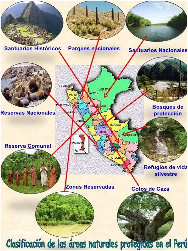 Descubre El Mapa De Las Areas Naturales Protegidas Del Peru