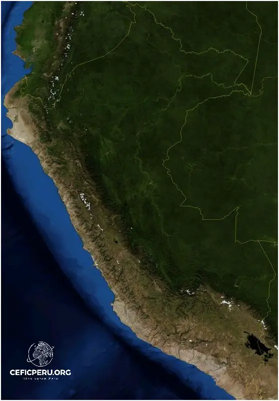 Descubre el Mapa Del Peru Selva!