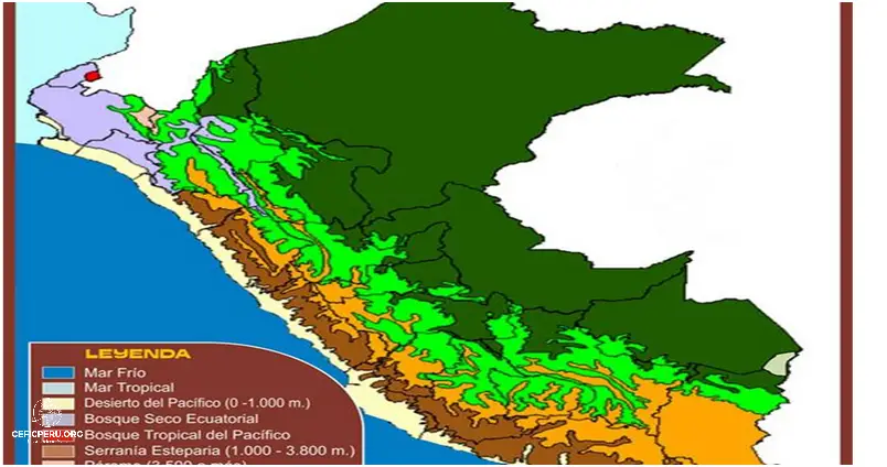 Descubre el Mapa Del Peru Selva!