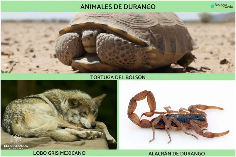 ¡Descubre la Diferencia Horaria Entre Peru y Uruguay!