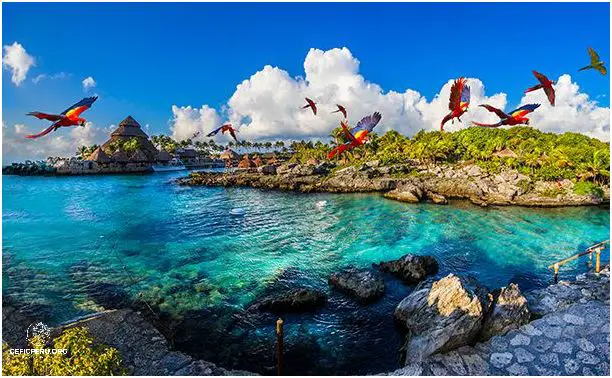 Descubre la Exótica Flora y Fauna de la Costa del Perú