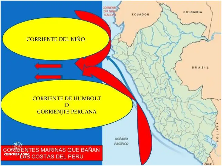Descubre las Corrientes Marinas Del Peru