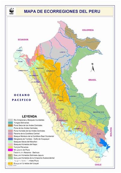 Descubre Las Ecorregiones Del Perú y Su Flora y Fauna!