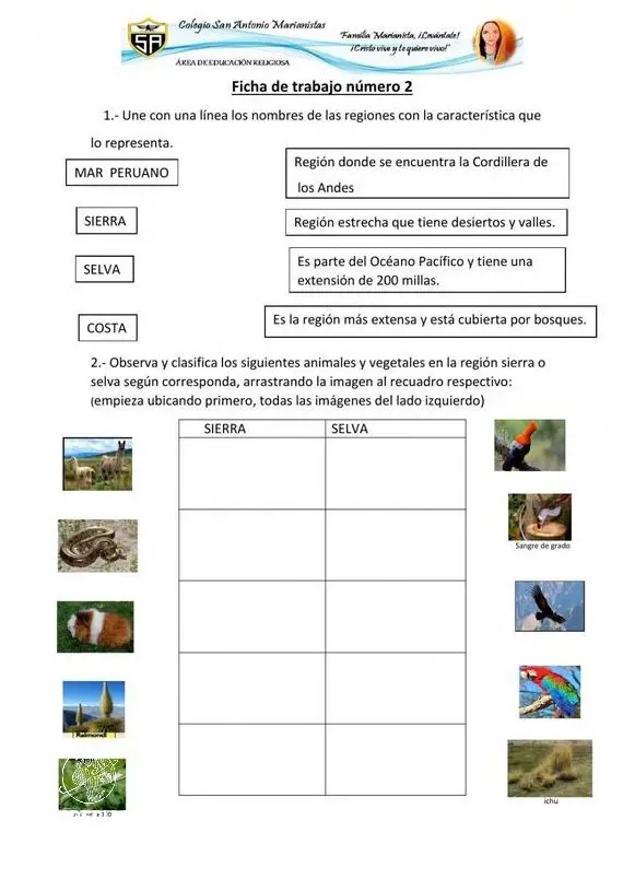 Descubre La Ficha De Las Regiones Del Peru Julio 2024 Ceficperu Nbkomputer 6615