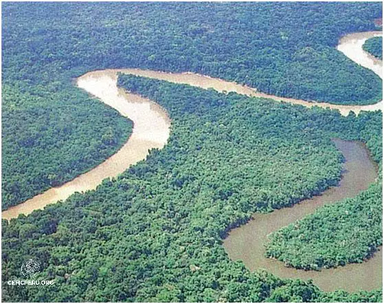 ¡Sorprendente! El Rio Amazonas de Perú.