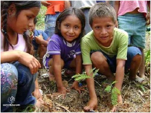 Descubra La Contaminacion Del Medio Ambiente En El Peru