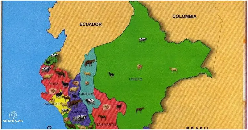 Descubre el Mapa del Peru: Costa, Sierra y Selva