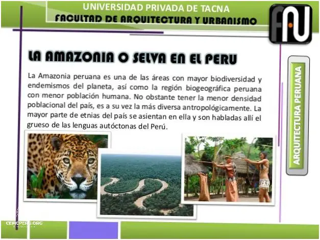 ¡Descubre el Resumen de Flora y Fauna de Perú!