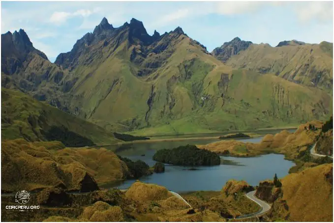 ¡Descubre el Tamaño De Camas Peru!