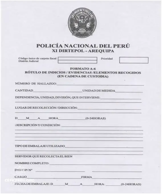 ¡Descubre la Cadena De Custodia de Perú!