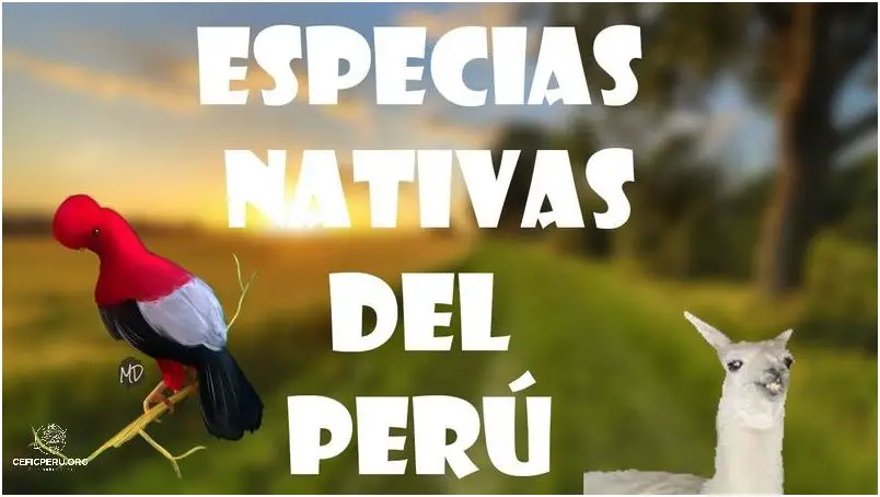 ¡Descubre Los Animales Nativos De Peru!