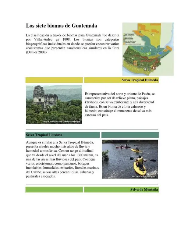 ¡Descubre los Biomas Terrestres Del Perú!