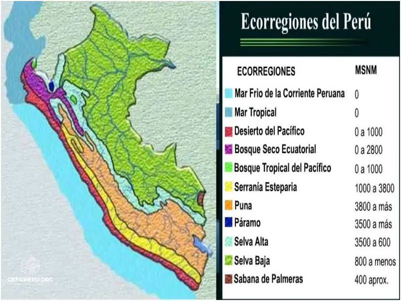 Descubren la Biodiversidad Genética Del Perú