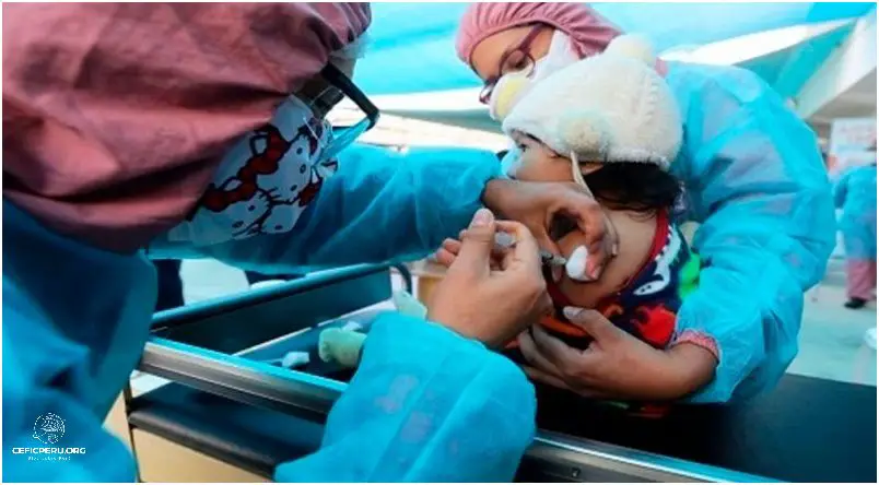 Vacuna de Fiebre Amarilla llega a Perú