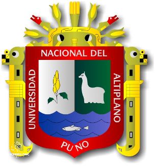 ¡Ve La Universidad Nacional Del Altiplano Puno Peru!