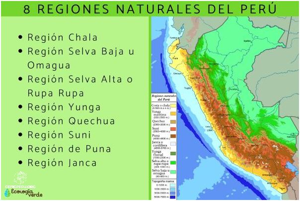 ¡Descubre Cuáles Son Las Fronteras Del Perú!