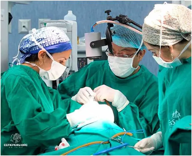 ¡Descubre Cuanto Gana Un Médico En Perú! Diciembre 2023