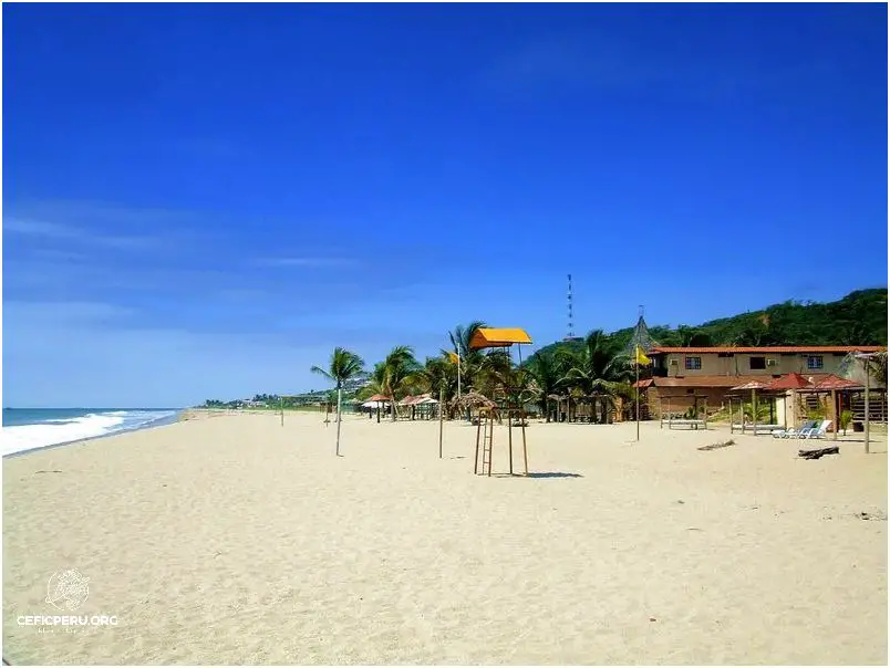 Descubre el Hotel Playa Bonita Peru