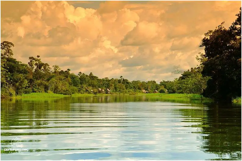 Descubre la Maravilla de los Bosques Tropicales Del Peru!