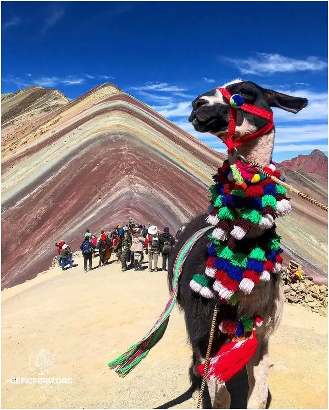¡Descubre la mística Montaña De 7 Colores Peru!