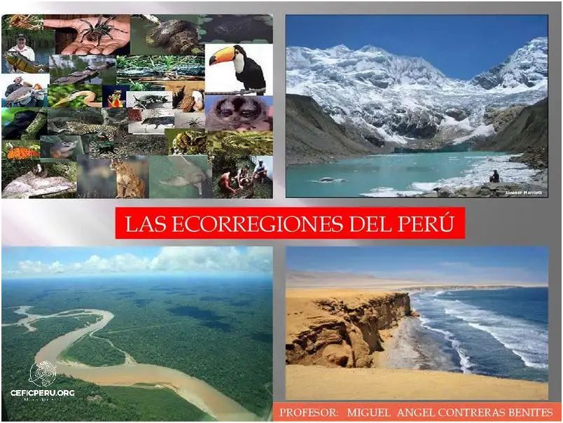 Descubre Las 8 Ecorregiones Del Peru.