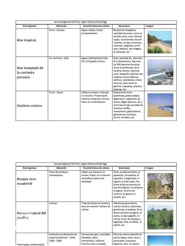 Descubre Las 8 Ecorregiones Del Peru.