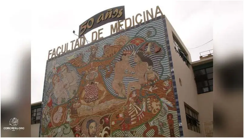 ¡Descubre Las Mejores Universidades De Medicina En Perú!