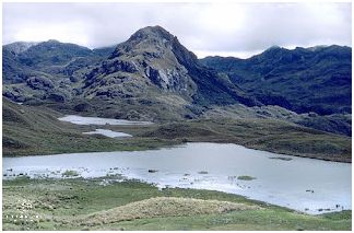 Explora la Ecorregión del Páramo en el Perú!