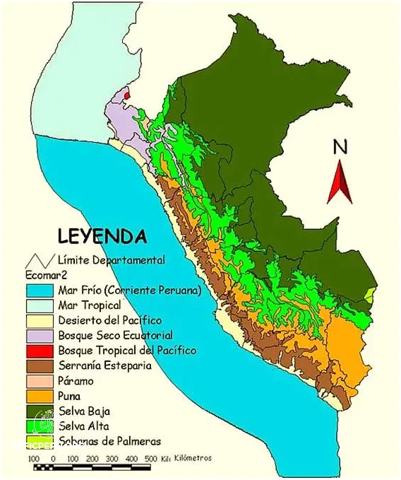 Explora la Ecorregión del Páramo en el Perú!