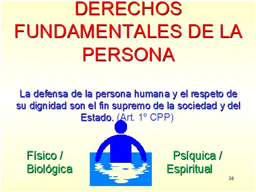 ¡Descubre el Articulo 35 De La Constitucion Politica Del Peru!