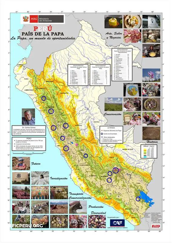 Descubre el Mapa De Las Culturas Del Peru!