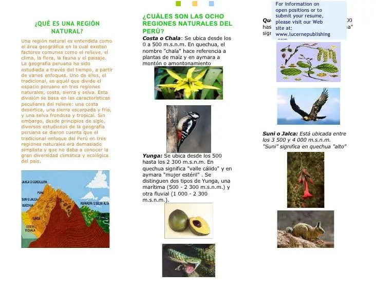 Descubre El Triptico De Las 8 Regiones Naturales Del Peru