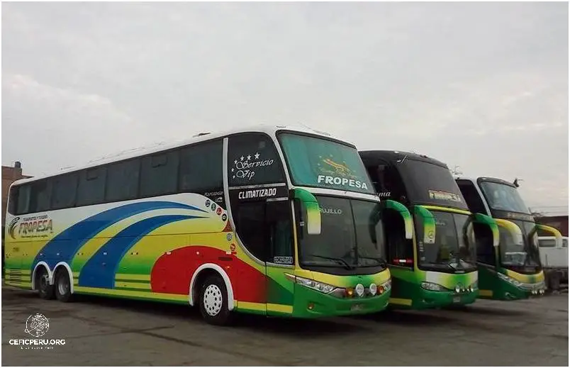 ¡Descubre la Nueva Empresa De Transporte Peru Bus!