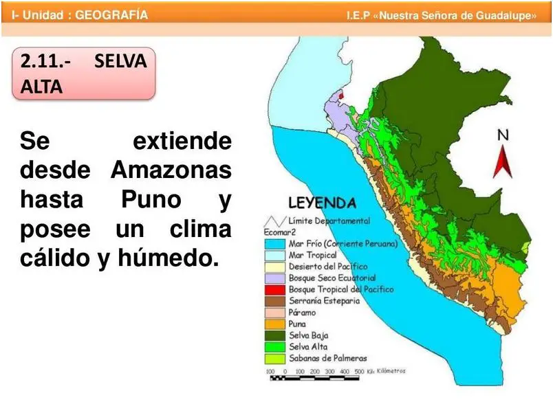 Descubre las Regiones Naturales Del Peru Para Colorear!