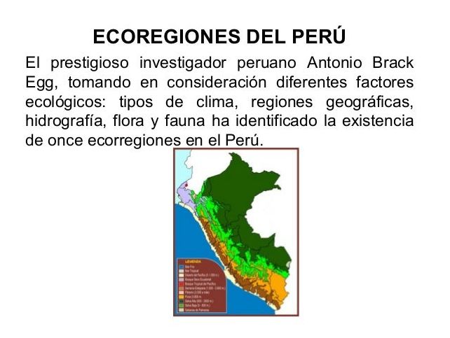 ¡Descubre los Pisos Ecologicos Del Peru!