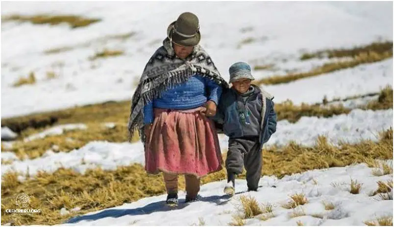 ¡Descubre Que Es El Derecho Tributario Peru!